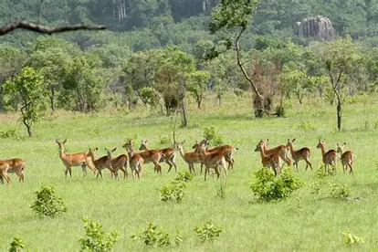 Photograph of Shai Hills Resource Reserve